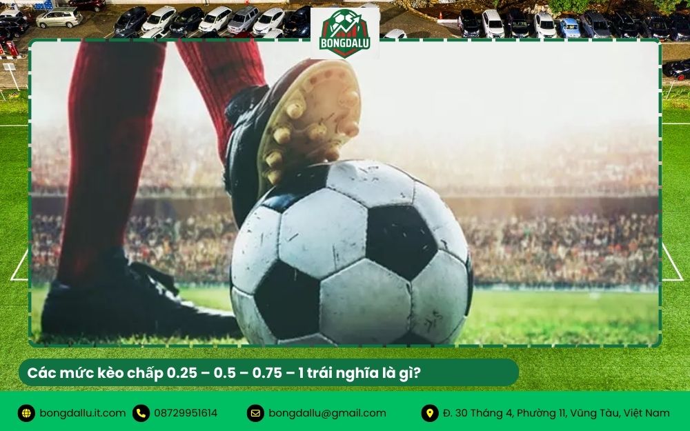 Các mức kèo chấp 0.25 – 0.5 – 0.75 – 1 trái nghĩa là gì?
