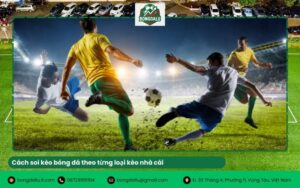Cách soi kèo bóng đá theo từng loại kèo nhà cái