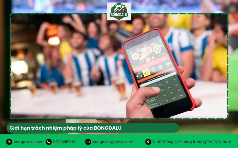 Giới hạn trách nhiệm pháp lý của BONGDALU